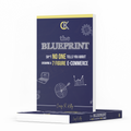 The Blueprint: Sh*t No One Tells You When Building A 7 Figure E-Commerce (E-Book)